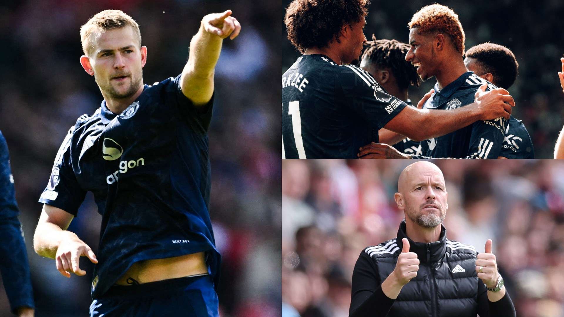 全面进化的 全面进化的