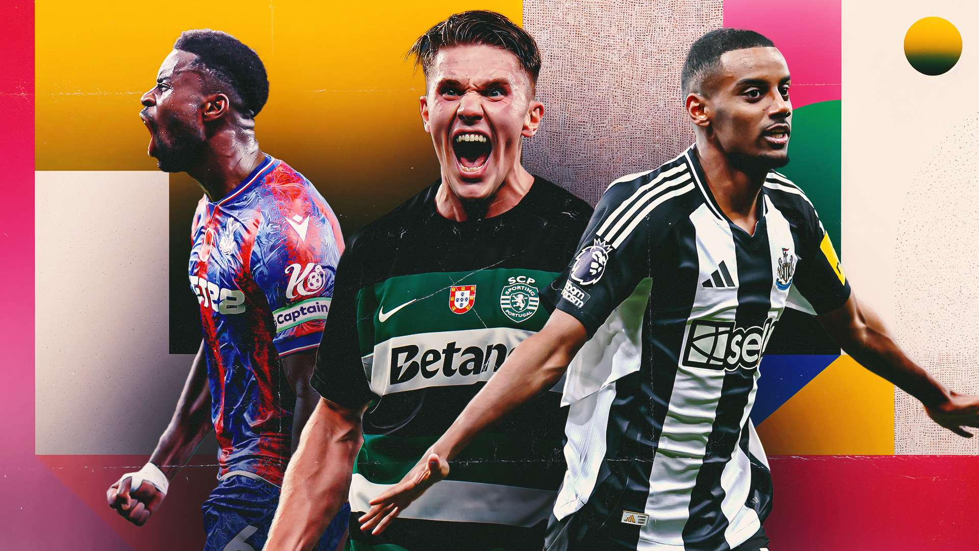 我们不仅看 我们不仅看