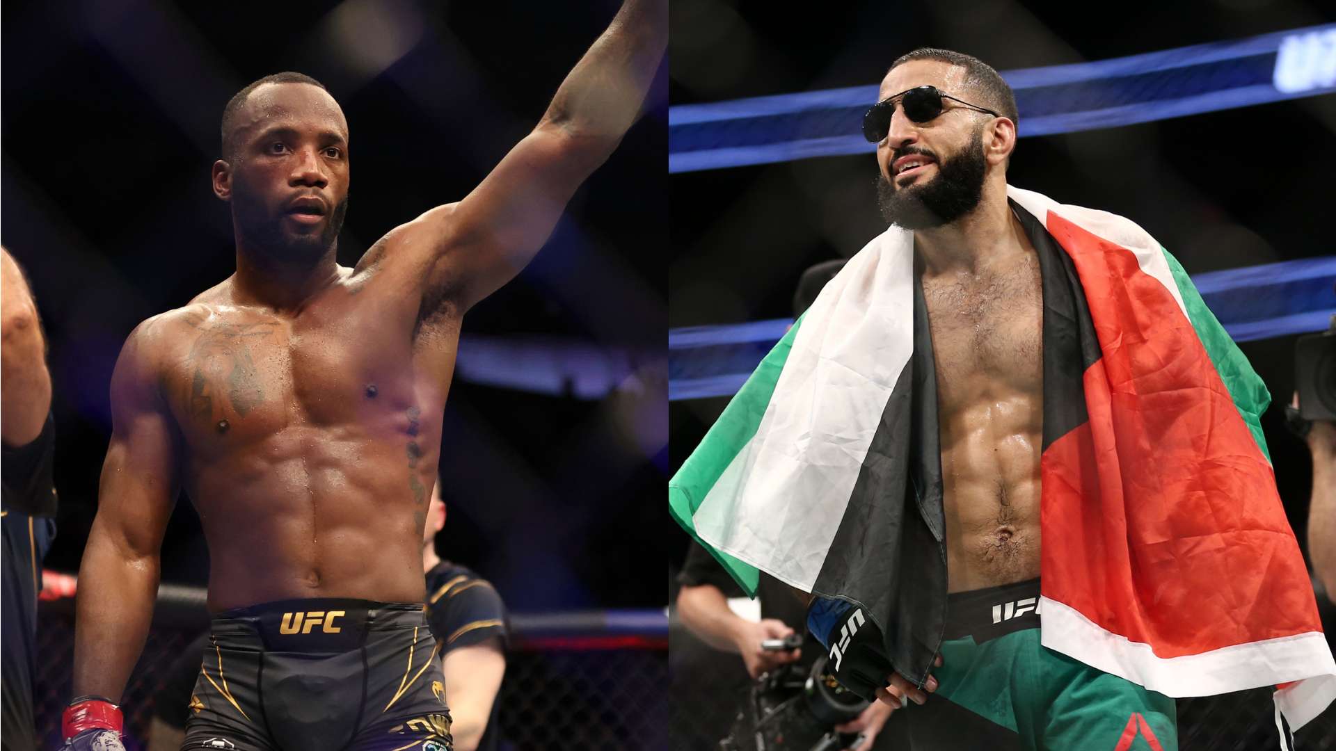 速度和创造 速度和创造