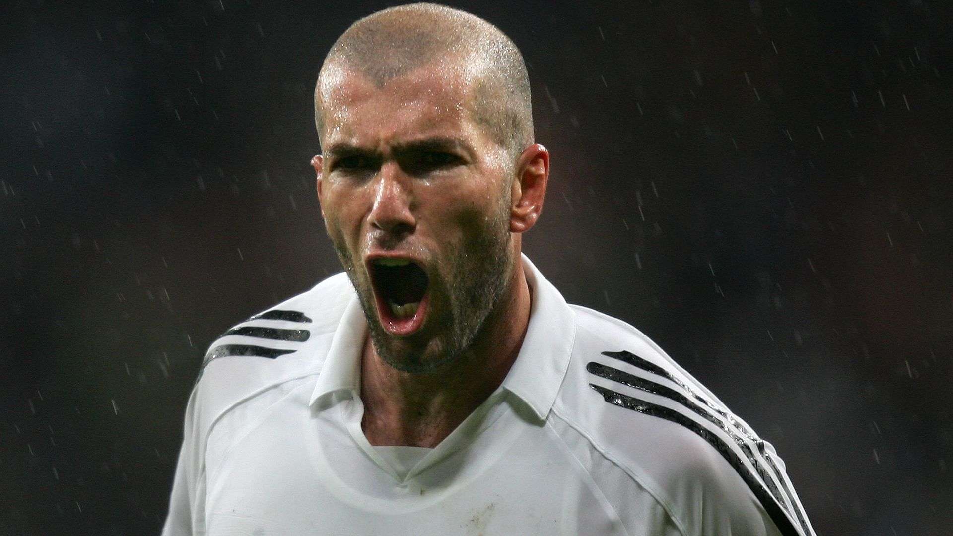 出他务实理 出他务实理