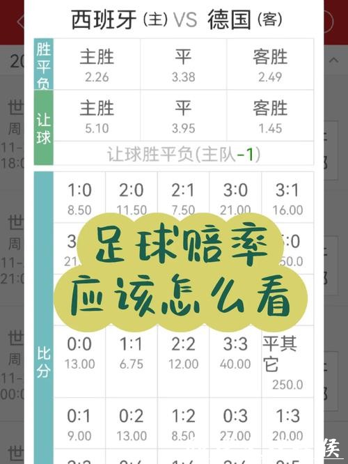 世界杯竞猜平台：详细赔率快速下注模式